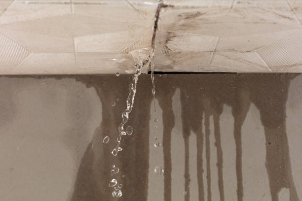 Professional Water Damage Inspection technician working in Decatur, TX